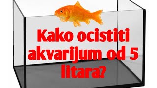 Kako ocistiti akvarijum od 5 litara?