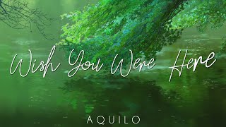 Pink Floyd - Wish You Were Here (Aquilo cover) [TRADUÇÃO/LEGENDADO]