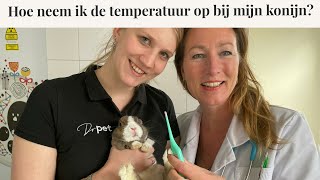 Hoe neem ik de temperatuur op bij mijn konijn? | Instructievideo