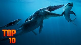 Top 10 Prehistoric Sea Creatures