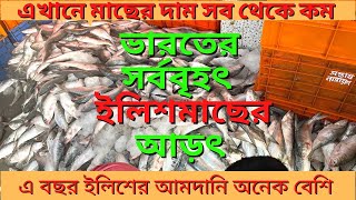 ইলিশ মাছ || ইলিশ মাছের সব থেকে বড় বাজার || ডায়মন্ড হারবার ইলিশ মাছের আড়ৎ |প্রচুর ইলিশ মাছ উঠেছে'2022