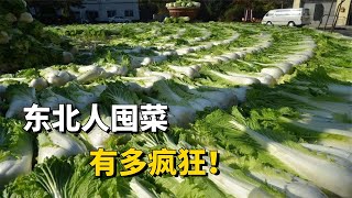 東北人囤菜真瘋狂買菜用車裝，南方人：為什么不現買現做呢？