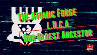 L.U.C.A. - Our oldest Ancestor