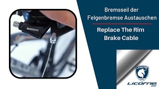 Licorne Bike Bremsseil der Felgenbremse austauschen (Licorne Bike Replace The Rim Brake Cable)