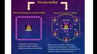 презентация бизнеса InWeb24 от президента