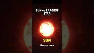 SUN vs LARGEST STAR ! #sun #largest #star