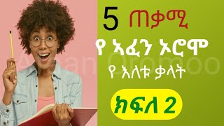 learn afan Oromo in amharic አፋን ኦሮሞን በ አማረኛ #afan_oromo_timhrt #afaanoromoo #afaanoromooletters