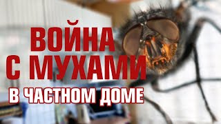 Нашествие мух! МУХИ в частном доме как с ними бороться #ДомОгород