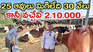 నెలకు 30 వేలె ramreddy dairy farm @MalleshAdla