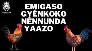 EMIGASO GYÉNKOKO NÉNNUNDA YAAZO