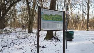 Winterspaziergang Englischer Garten & Aumeister, München (Test Osmo Pocket)