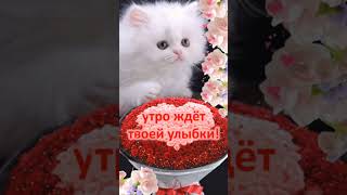 Доброе утро,хорошего дня,музыкальная открытка с добрым утром! #открытка  #видеооткрытка #доброеутро