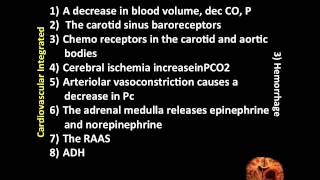 Hemorrhage and its Effect on Blood Pressure (3 of 3)