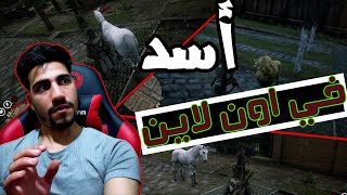 ريد ديد اونلاين Red Dead Online 🤩 أسد  في اونلاين ☠ 😱