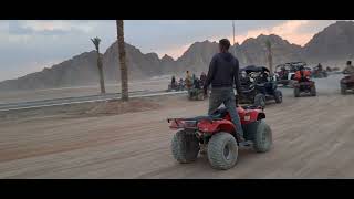 Motorata nel deserto, con sosta e cena in una tenda beduina e giro in cammello