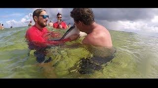 KISSING A STINGRAY!