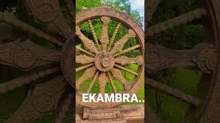 EKAMBRA #ekambareswara