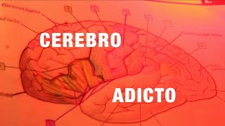 El cerebro ADICTO