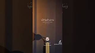 Beautiful quran recitation by Yasser Al dosari