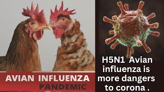 Is H5N1 the Next Pandemic? Separating Fact from Fear @rootcauseanalysing