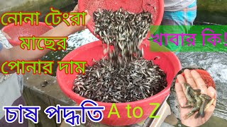 নোনা টেংরা মাছ চাষ পদ্ধতি | নোনা টেংরা মাছের চাষ পদ্ধতি | নোনা টেংরা মাছের পোনার দাম | 01715908523