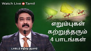 19-AUG-2024 | கடவுளுடன் ஒவ்வொரு நாளும் | Everyday With God Tamil Sermons | #drsatishkumartamil