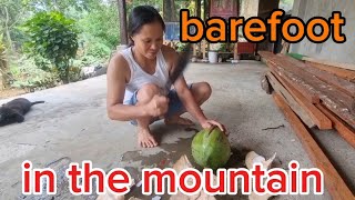 barefoot in the mountain / coconut fruit sweet salad / philippines