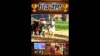 Ox Races in Punjab | Bailgaadi Races | Bullcart Races | Malwa tv