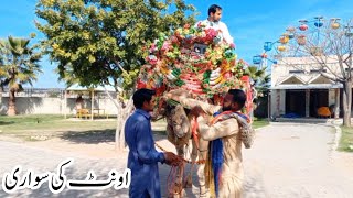 Oont ki sawari|camel riding video|first time camel riding|badwal Desi vlog|