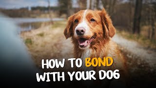 10 Remarkable Ways To Bond With Dog