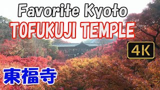 【Tofukuji Temple 東福寺】Favorite Kyoto.🍁See Tofukuji Temple in beautiful autumn✨.