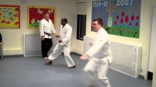 Kyushindo Triple Block & Punch Kata