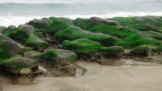 老梅綠石槽 - LaoMei Green Reef, Taiwan