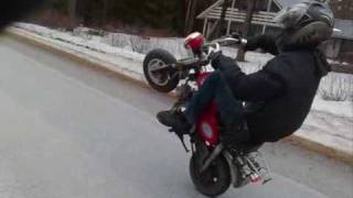 48cc monkey wheelie in Finland