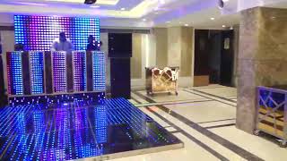 Ambrosia Palace,The best banquet hall in Vaishali Ghaziabad up