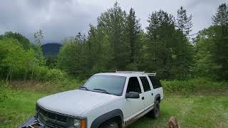 EVERONE MEET #KOAH  THE NEW SERVICE PUPPY IN #northernbc  in a (Top Secret ) boon docking spot