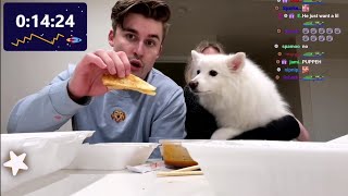 Ludwig and QT share food with cute doggo