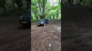 Renault Scenic Rx4 Mini Offroad