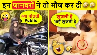 ये जानवर तो बचपन से ही बदमाश है  | Latest Funny Animal Moments | Funny Animals