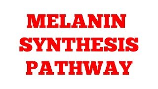 Melanin synthesis pathway || Phenylalanine Metabolism || Part-2 || #Biochemistry