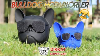 KÖPEK ŞEKLİNDE HOPARLÖRLER İNCELEMESİ - Bulldog Speaker