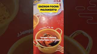 PROMO SACHON POCHA SEPTEMBER 2024 #sachonpocha #sachonpochamojokerto