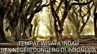 Tempat Wisata Indah seperti Negeri Dongeng di Indonesia