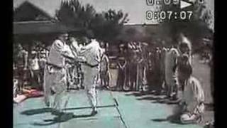 Kyushindo Karate