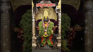 *बुधवार दि- १३ नोव्हेंबर २०२४#vitthal #video #viralvideo #youtubeshorts #marathi