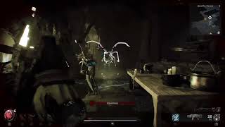 Remnant 2 - Ravenous effect outside of boss room