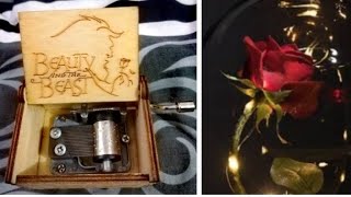 Beauty And The Beast Music Box | 20-minute Non-stop music | For study, relax, sleep, work