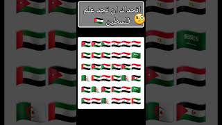 اتحداك ان تجد علم فلسطين 🇵🇸 🧐؟! #subscribe #فلسطين #اشتراك #shorts #youtubeshorts #اكسبلورر #غزه