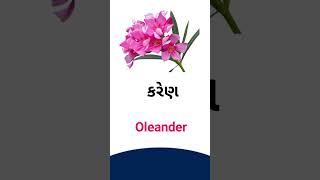 Oleander meaning in Gujarati - English dictionary