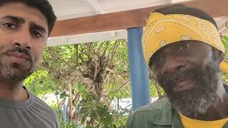 A fascinating conversation... Rasta herbalist Kingo -  Talking about his roots remedy